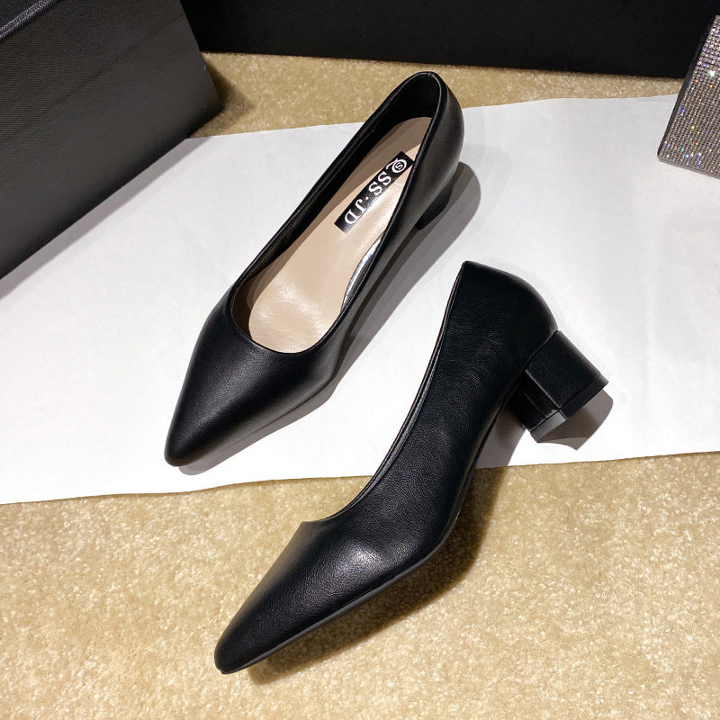 Women's Pointed Toe Chunky Heels